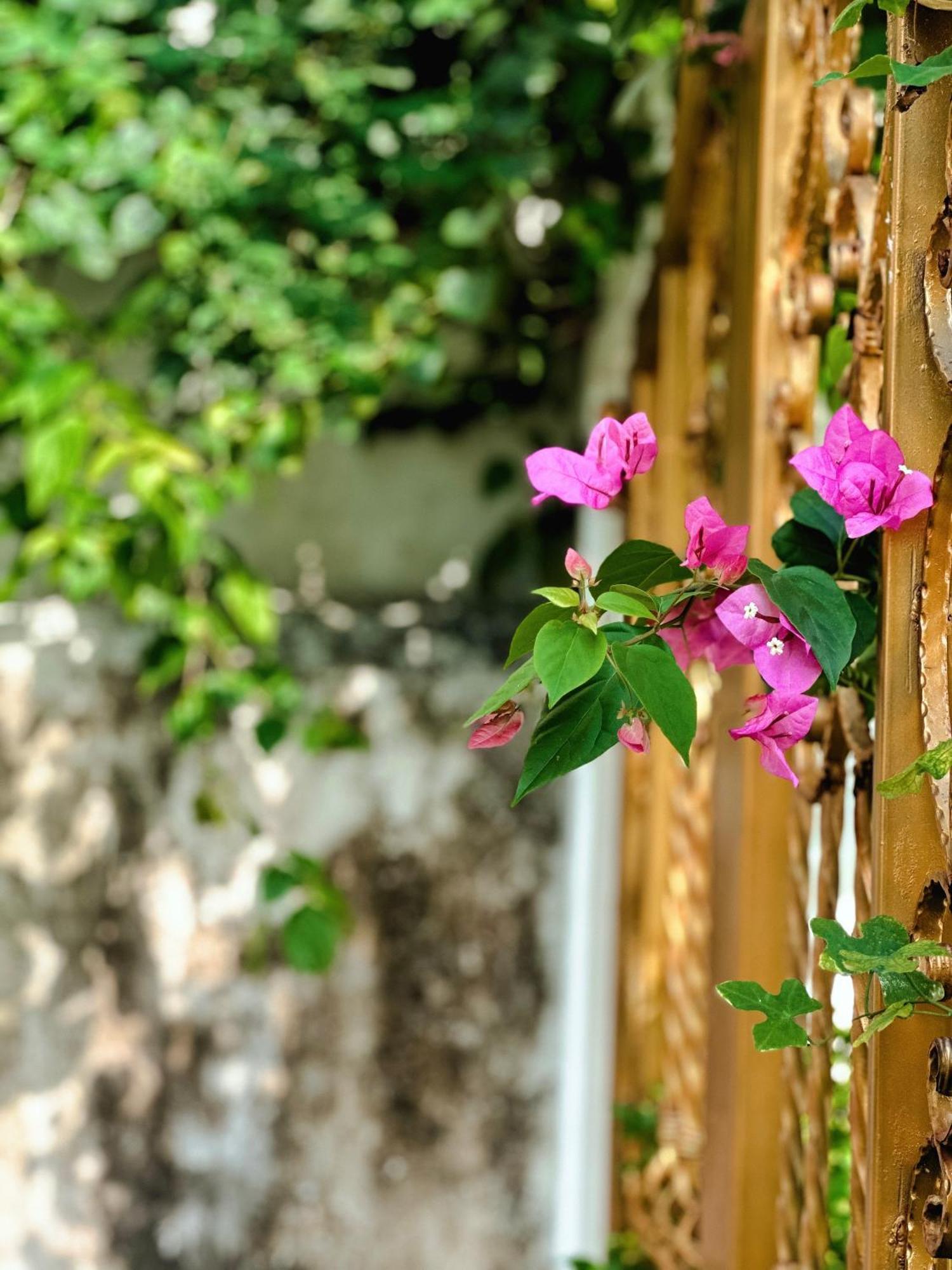 Tan Thanh Blue Fish Villa المظهر الخارجي الصورة